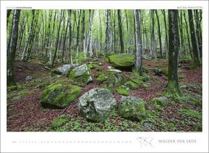 Wälder der Erde immerwährend