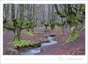 Wälder der Erde immerwährend