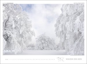 Wälder der Erde immerwährend