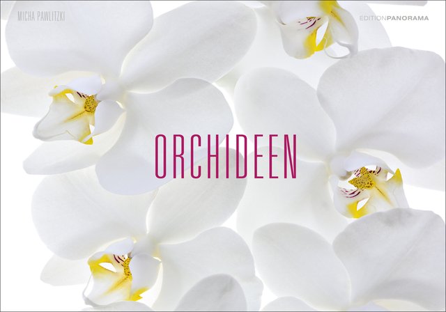 Orchideen