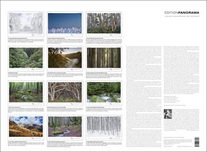 Wälder der Erde immerwährend